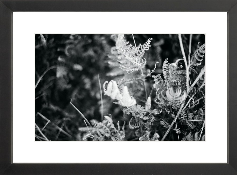 Art Galerie elsie green | Focus Printed Photograph