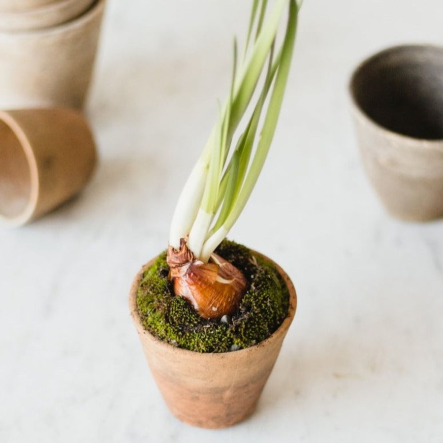 Decor elsie green | Vintage Garden Pot Set Of 4