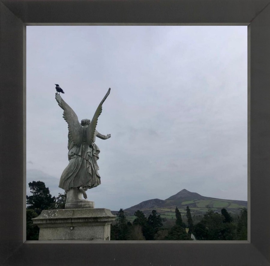 Art Galerie elsie green | Powerscourt Printed Photograph